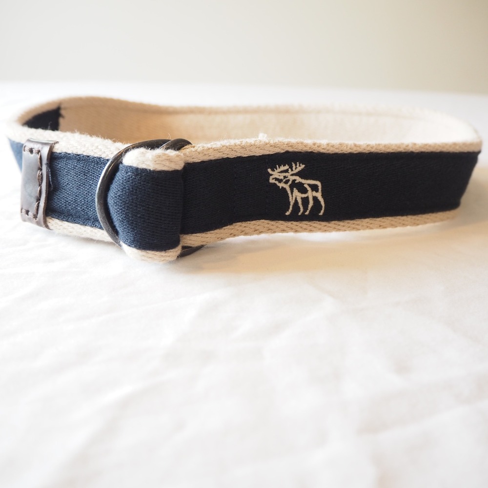 Abercrombie Kids Y2K Style Moose Canvas D Ring Belt Youth Size 14 Navy